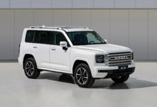 哈弗猛龍Pro Max?不好意思看錯了,這是全新哈弗H9