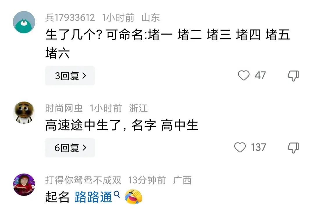 狗子在高速被堵到生下一窩狗崽