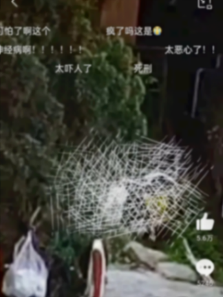 13歲男生猥褻女生被送專門學校訓誡