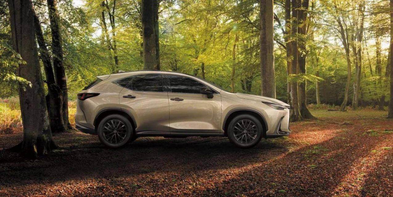 2024款雷克薩斯NX正式上市 售價31.88萬起