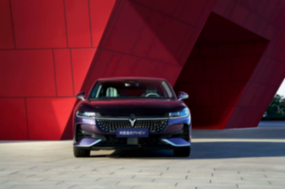 積極響應政策號召,置換補貼至高5萬,嵐圖懂技術更懂用戶