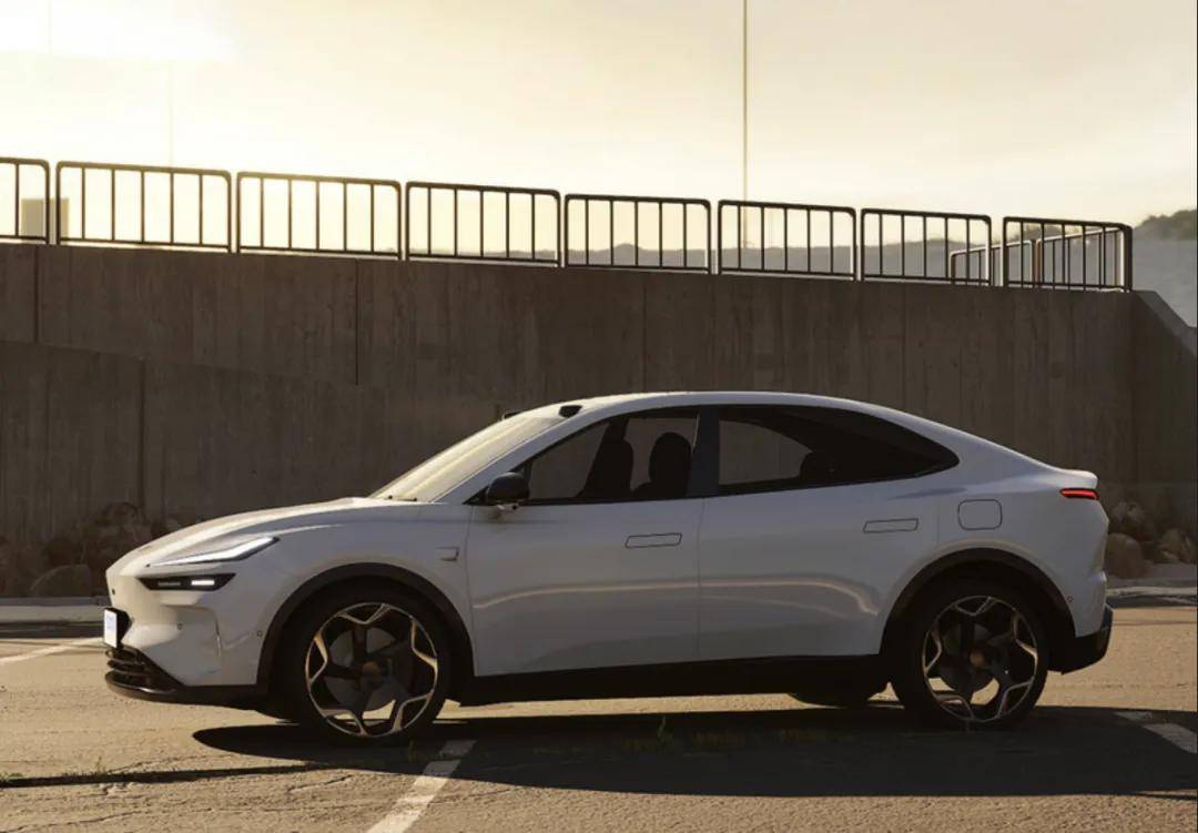 樂道和MONA,做廉價版就能賣好?