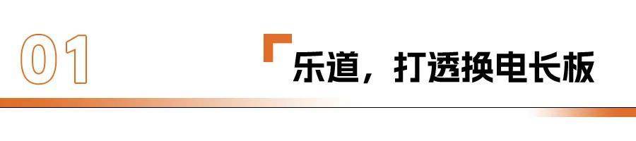 樂道和MONA,做廉價版就能賣好?