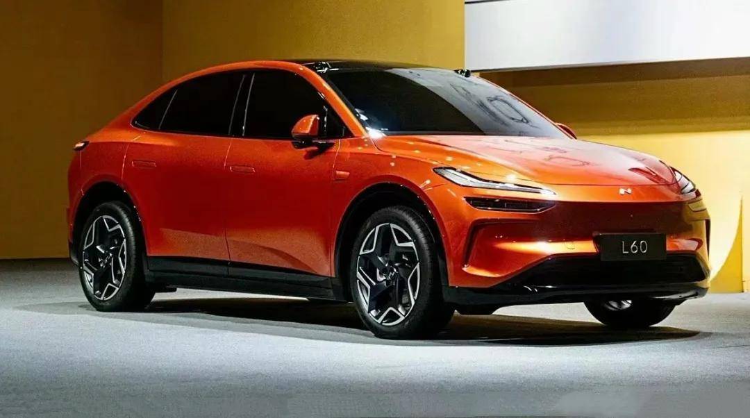 樂道和MONA,做廉價版就能賣好?