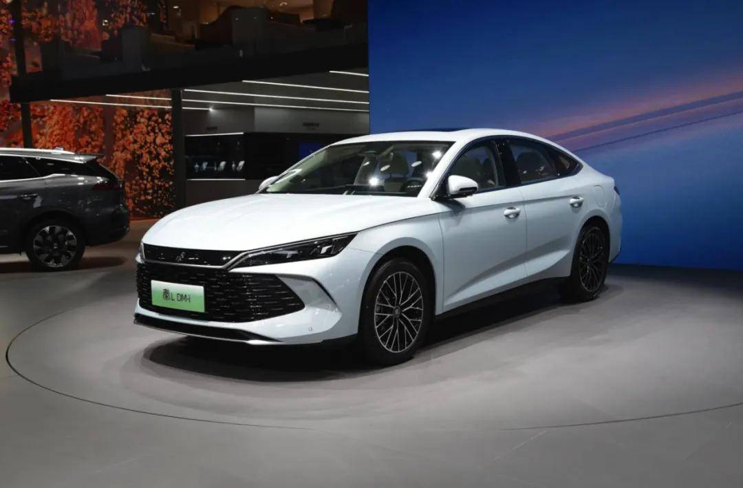 樂道和MONA,做廉價版就能賣好?