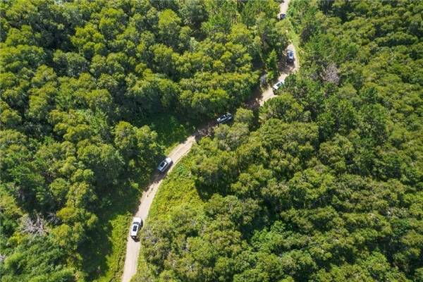 長城哈弗Hi4領航,智能四驅電混技術重塑出行能效新高度