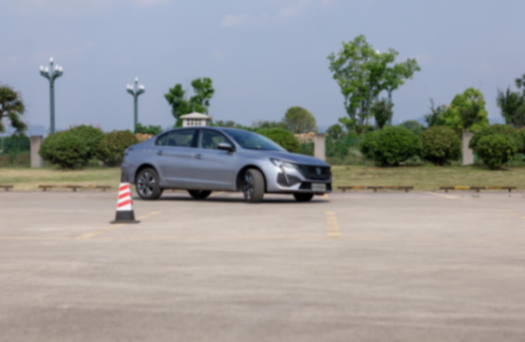 打造新神龍,神龍汽車32周年持續(xù)提升品牌價(jià)值和客戶體驗(yàn)