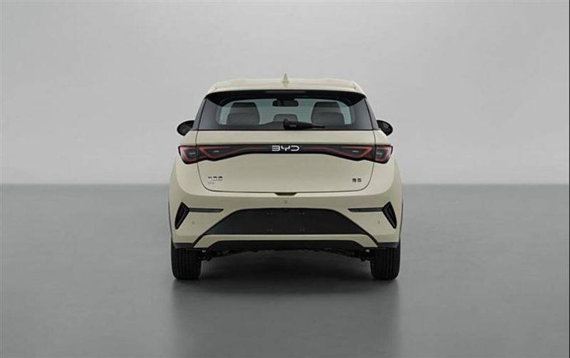 把錢準備好 比亞迪多款新車來襲 漢L、新款海豚領銜