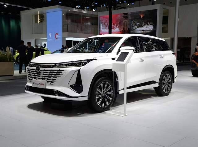 2024年車企銷量排行榜出爐:奇瑞擠進前五,特斯拉只能排第十