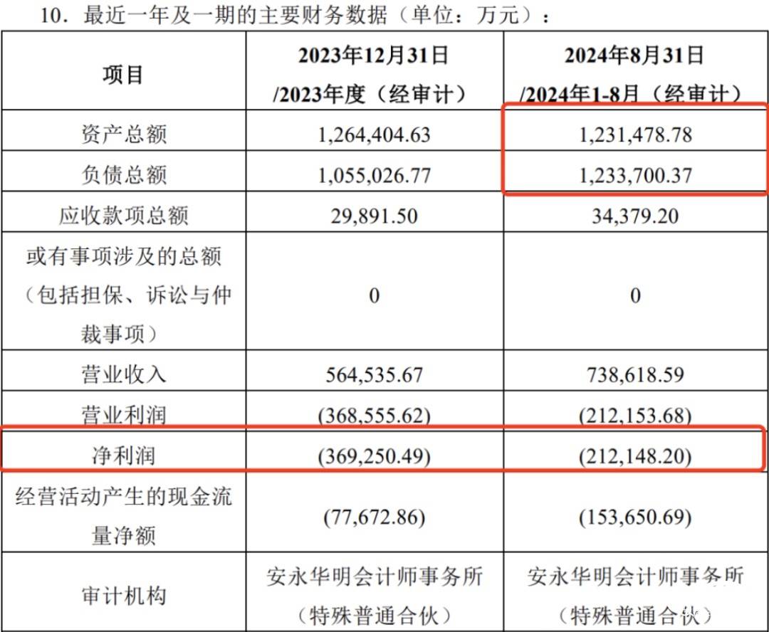 2024年,誰是車圈最強“吸金王”?