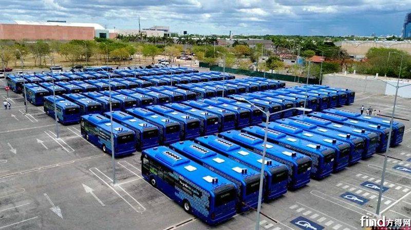 2024客車出口6.18萬輛新高!宇通1.4萬 金龍系爭第二 歐輝暴增! 宇通