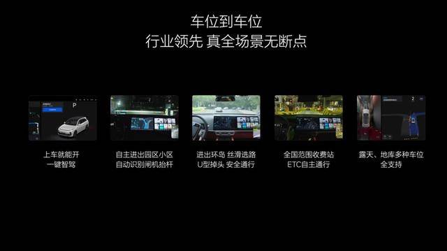 20250124_1737717528585282.jpg 7.jpg