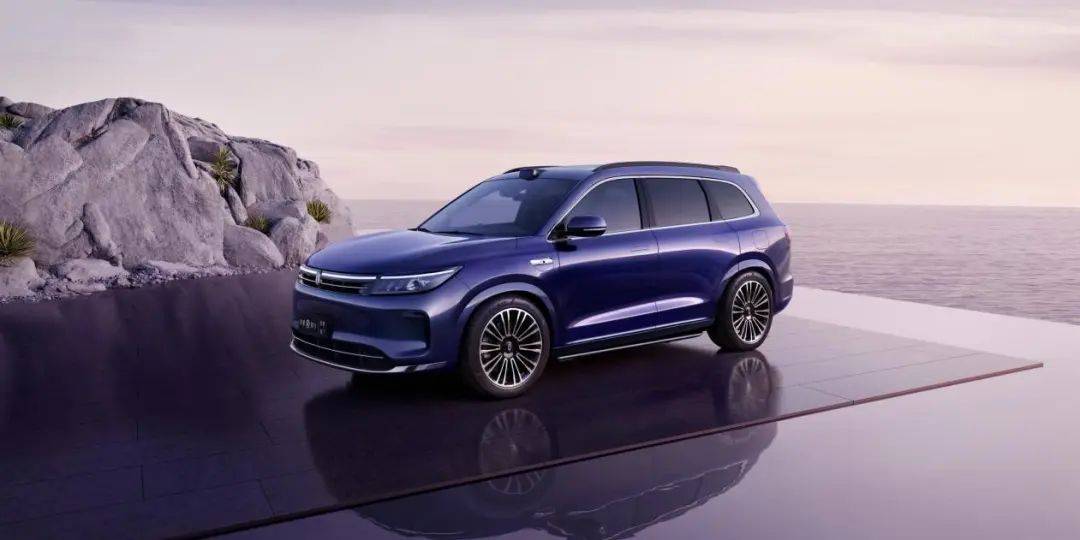 2024-2025年:?jiǎn)柦缫l(fā)的蝴蝶效應(yīng)