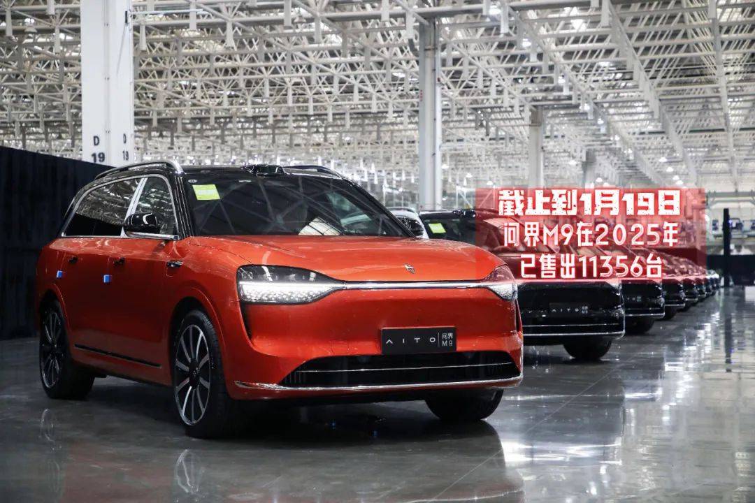 2024-2025年:?jiǎn)柦缫l(fā)的蝴蝶效應(yīng)