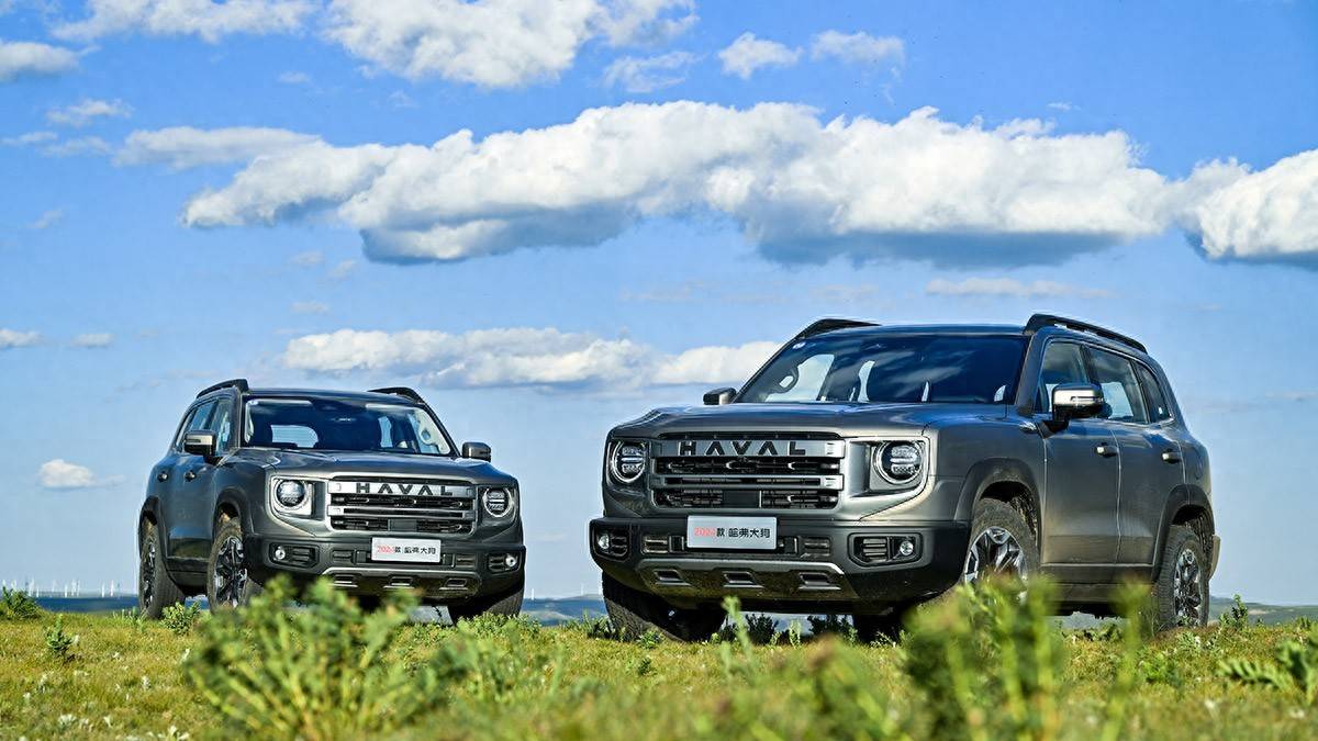 遍地都是方盒子,2024年銷量奪魁的是誰