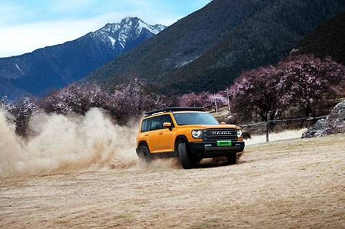 遍地都是方盒子,2024年銷量奪魁的是誰