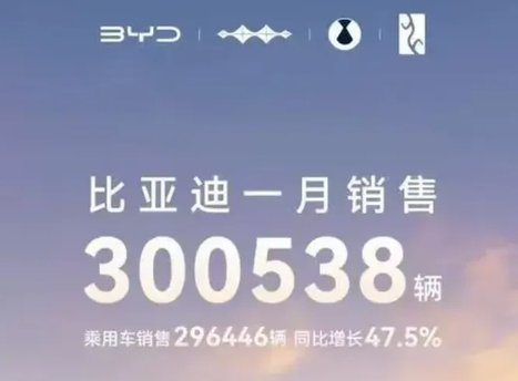 1月新能源車企銷量,比亞迪超30萬(wàn)輛,蔚來(lái)不足萬(wàn)輛,哪吒掉隊(duì)