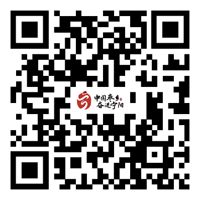 2025年泰安市寧陽縣引進急需緊缺青年人才公告