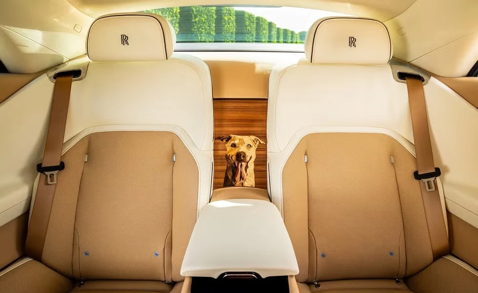 專屬漆色 + 爪印標識,客戶為愛犬定制勞斯萊斯閃靈“貝利”車型