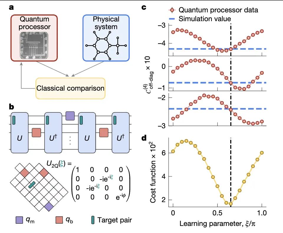 剛拿諾獎就登Nature封面!谷歌“量子回聲”算法計算提速13000倍,可重復驗證結果